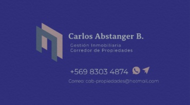 Carlos Abstanger B Propiedades y Servicios